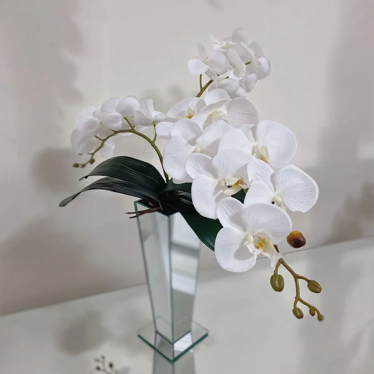 Orquídea branca em vaso claro
